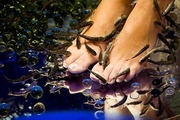 Fish-SPA
